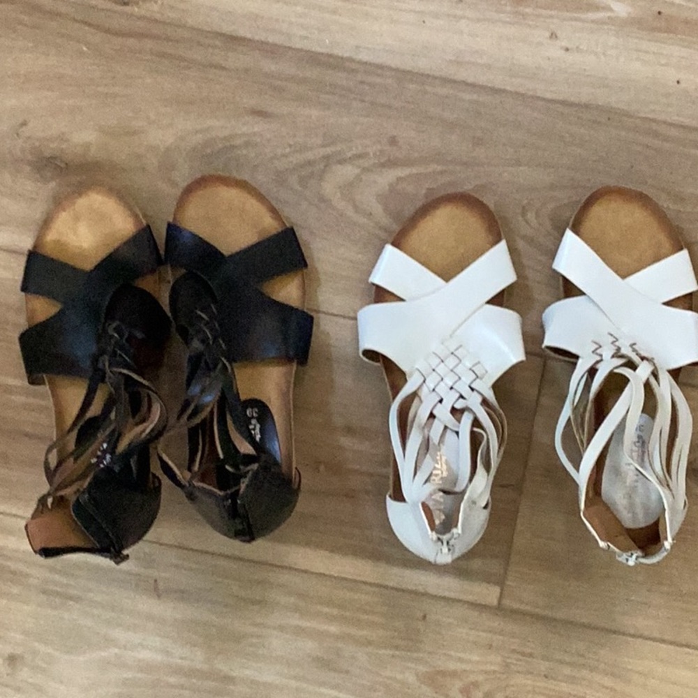 White or black snappy wedge sanders